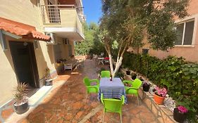 Olive Tree Apartment